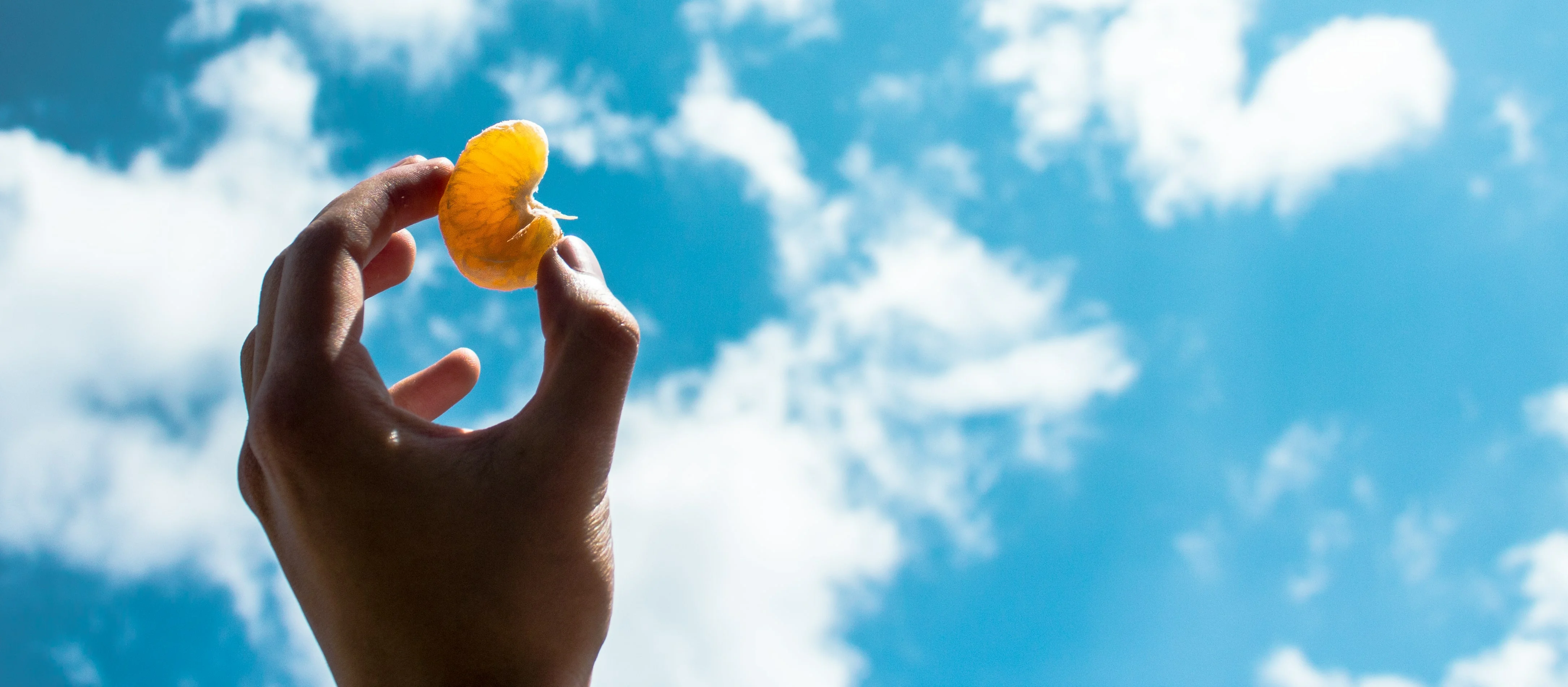 Disfruta el momento presente